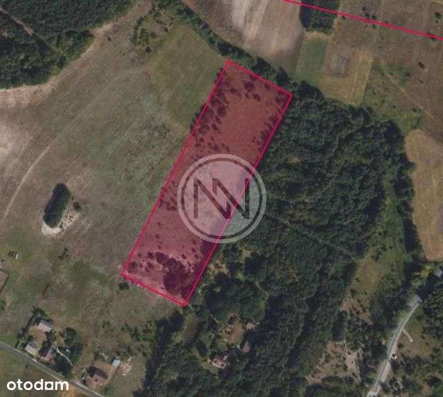 Działka Dębniaki-5