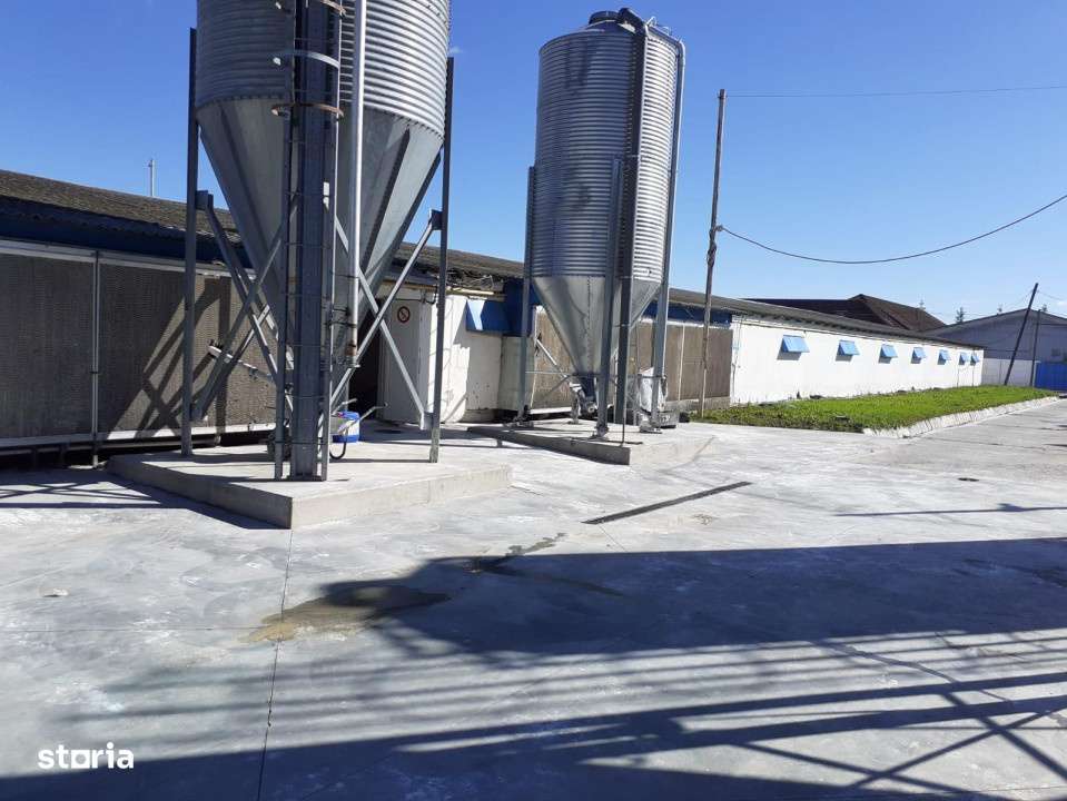 Oferta de vanzare hala 1933 mp,  teren 4620 mp., 380000 Eur - Imagine principală: 5/5