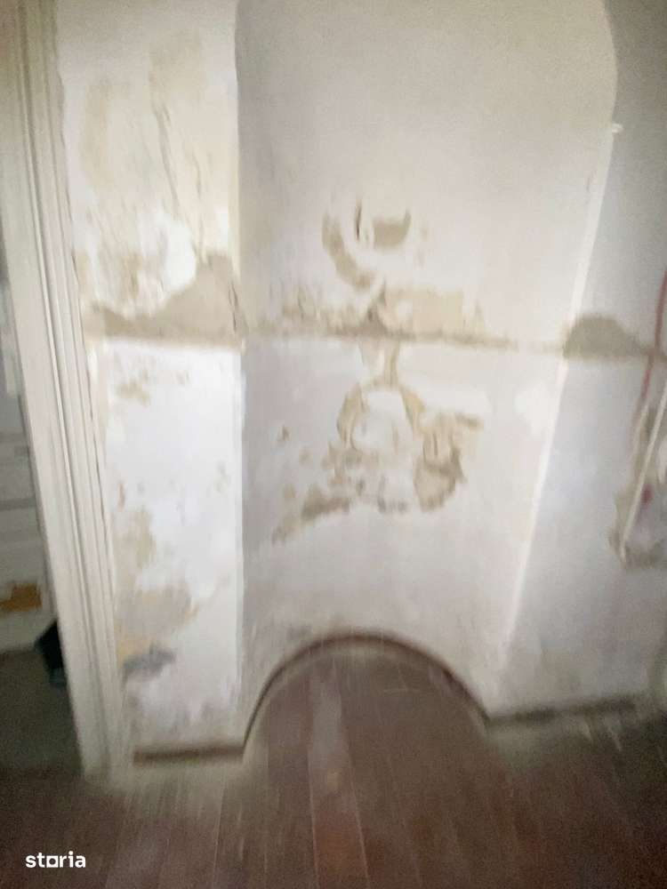 De Vanzare Vila Interbelica, 8-10 Camere, Romana - Zodiac-19