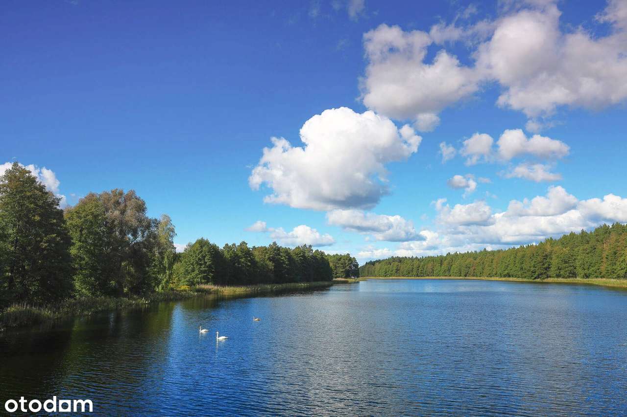 Rekreacyjna działka z bezpośrednim dostępem do jeziora - Pełny obrazek: 5/8