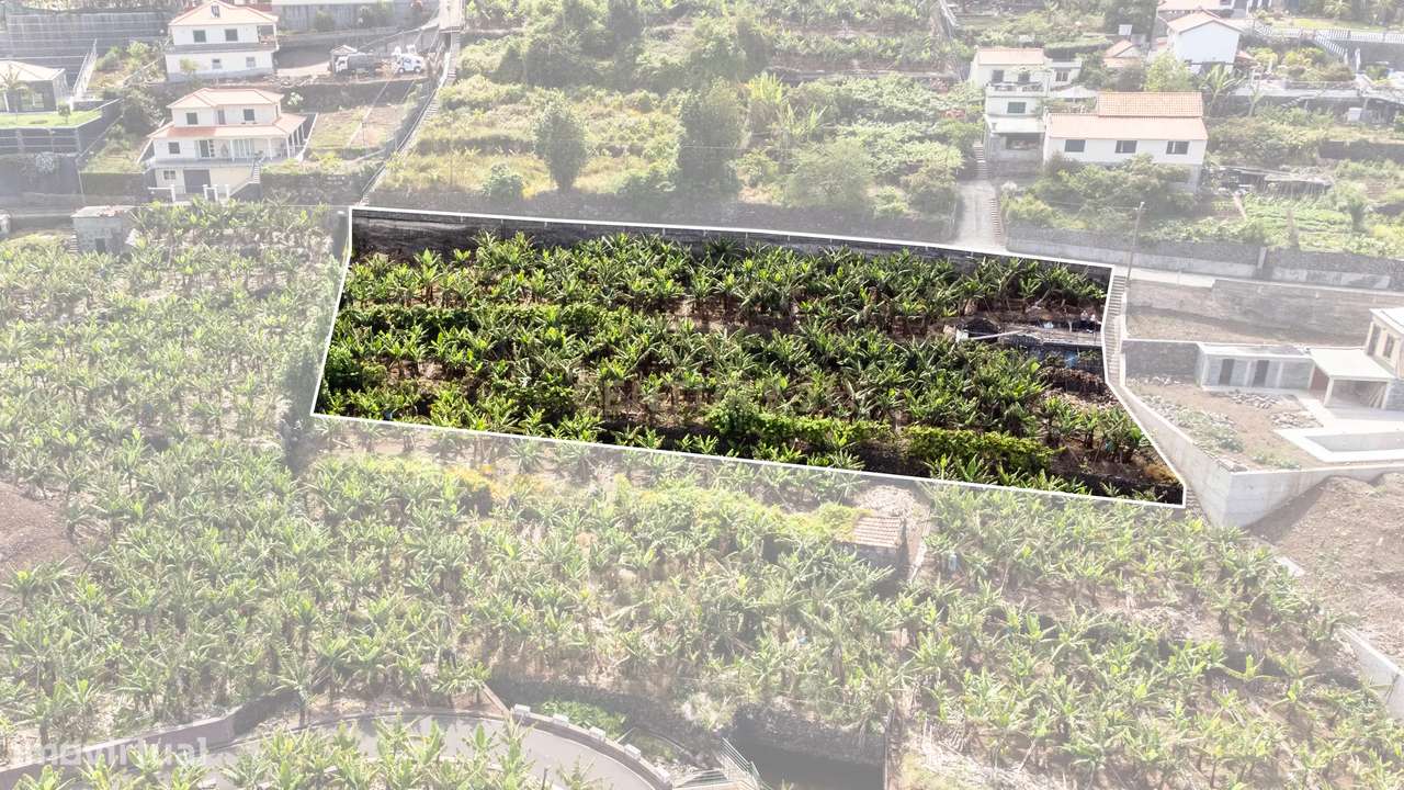 Terreno para construção 1946m2 - Arco da Calheta-9