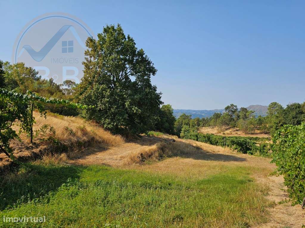 Quinta com Moradia T4 em Leiradas, Rio Douro - Cabeceiras de Basto-53