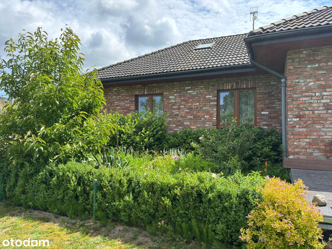 Siedlisko z potencjałem – tylko 1,5 km od morza dom+4 domki - Pełny obrazek: 5/20