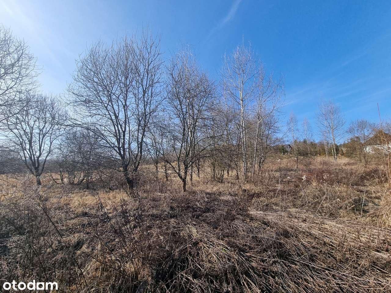 Działka w cichym miejscu blisko lasu-5