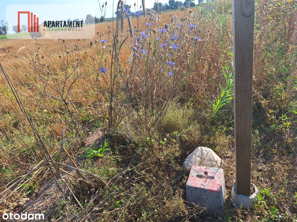 Z miasta na wieś! Idealne miejsce do zamieszkania. - Pełny obrazek: 5/6