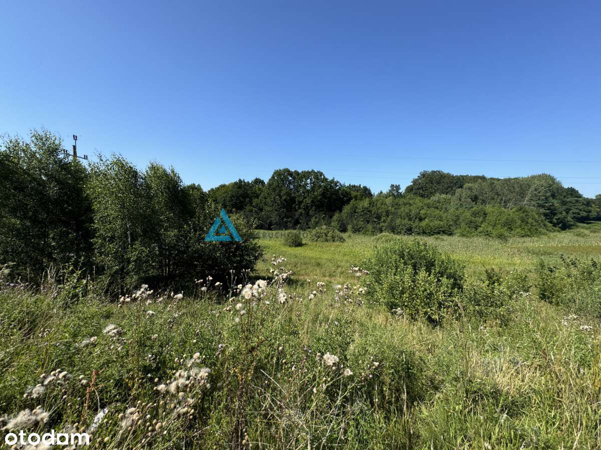 Działka z widokiem na jezioro Piekło Dolne - Pełny obrazek: 5/16