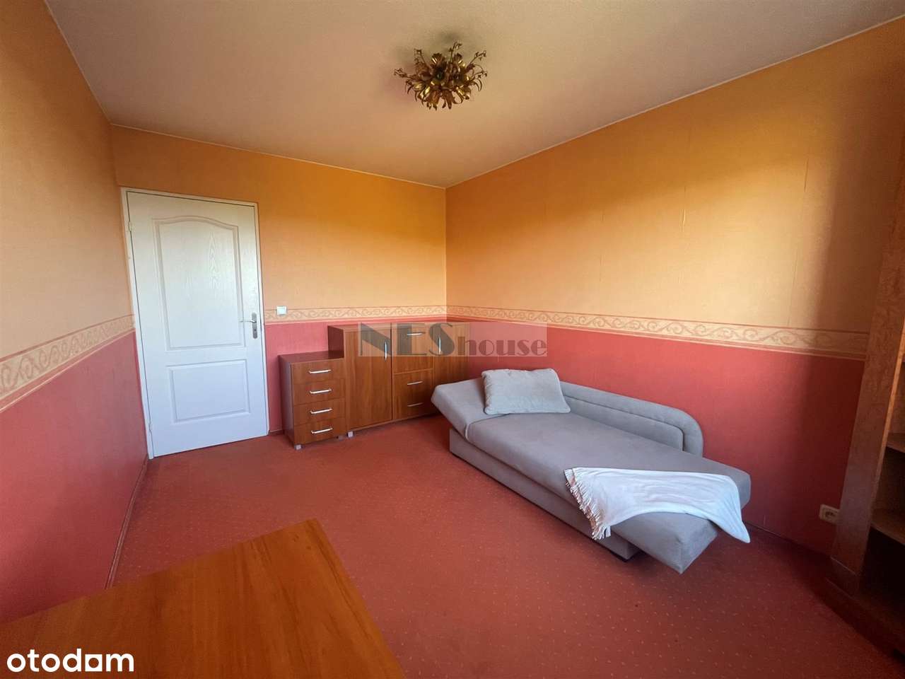 Pełen rozkład, tramwaj!-3