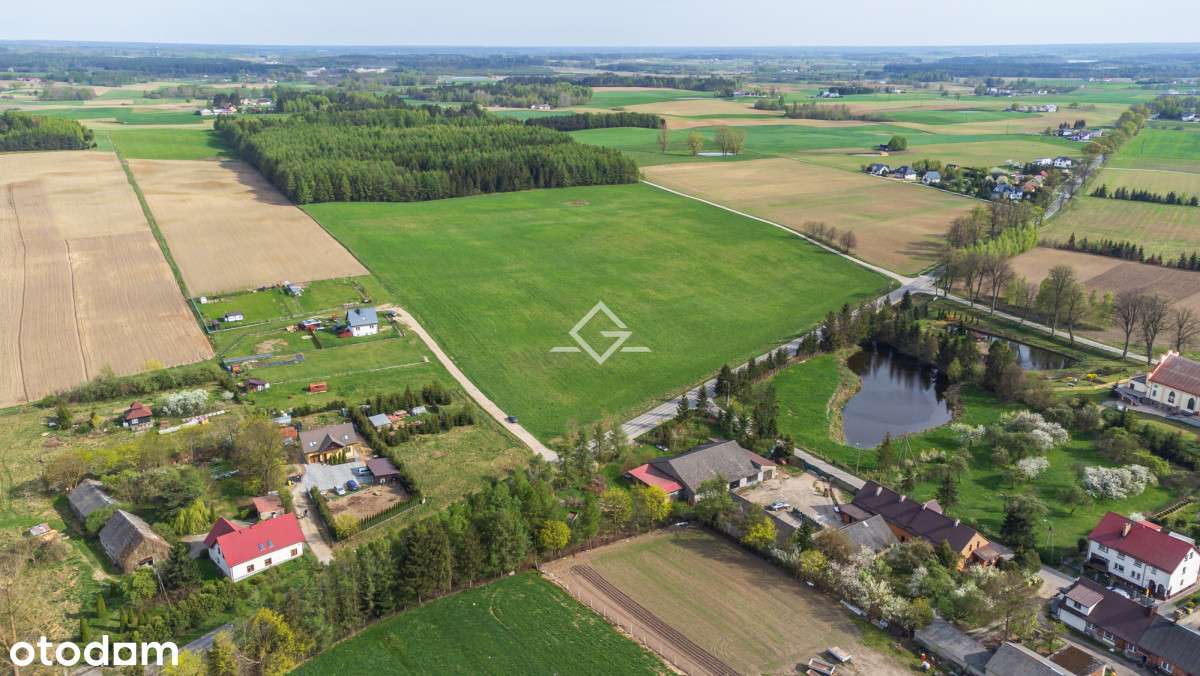 Działka przemysłowa | Wielki Klincz | pod market - Pełny obrazek: 5/9