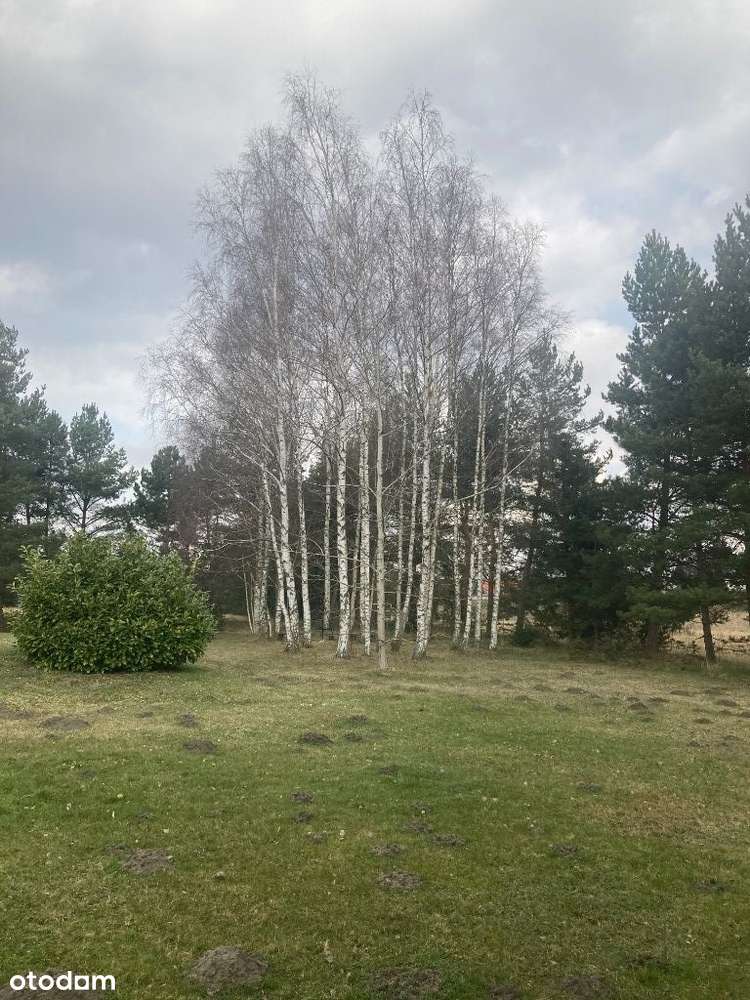 Polanica mieszkaj i zarabiaj-4