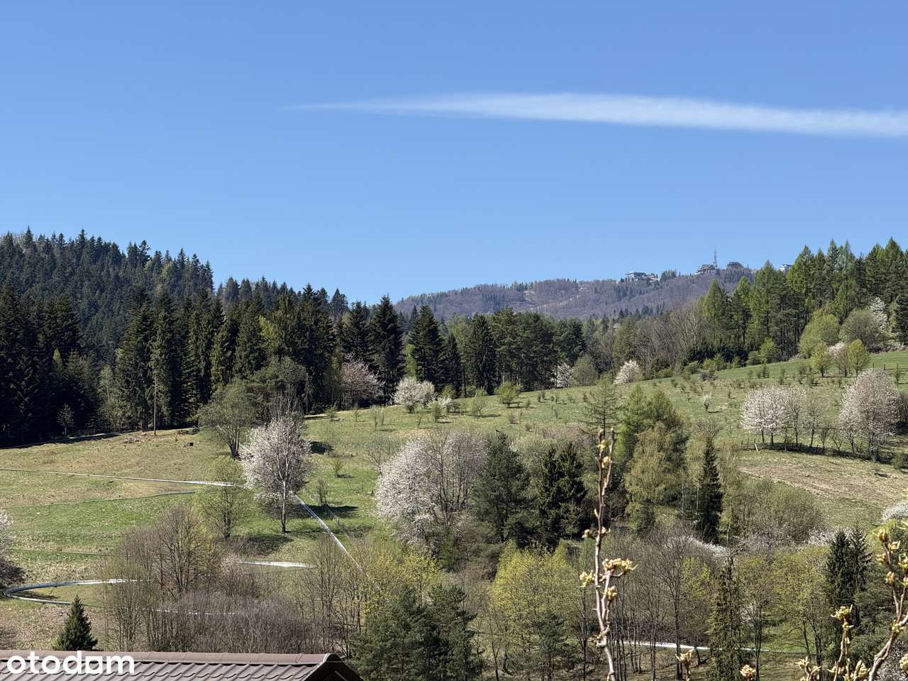 Krynica-Zdrój | aktywny najem | widok na Jaworzynę-15