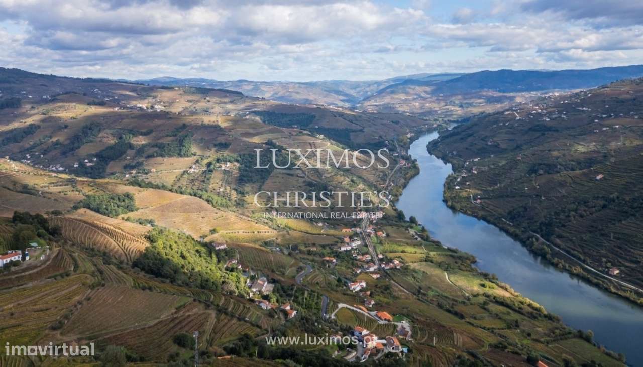 Quinta vinícola à venda em Mesão Frio na Região Demarcada, Douro V - Grande imagem: 4/25