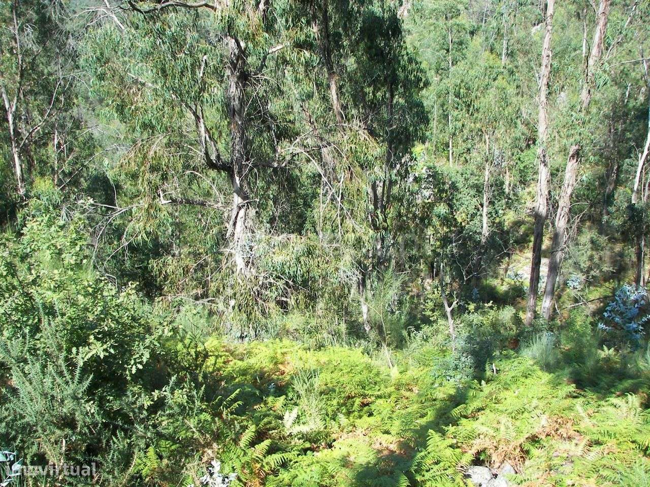 Terreno em Armil - Grande imagem: 2/17