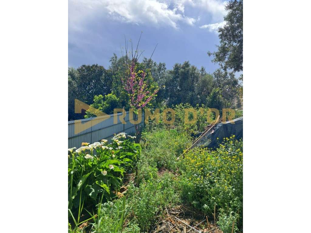 T2 com logradouro para recuperar - zona GNR - Grande imagem: 4/10