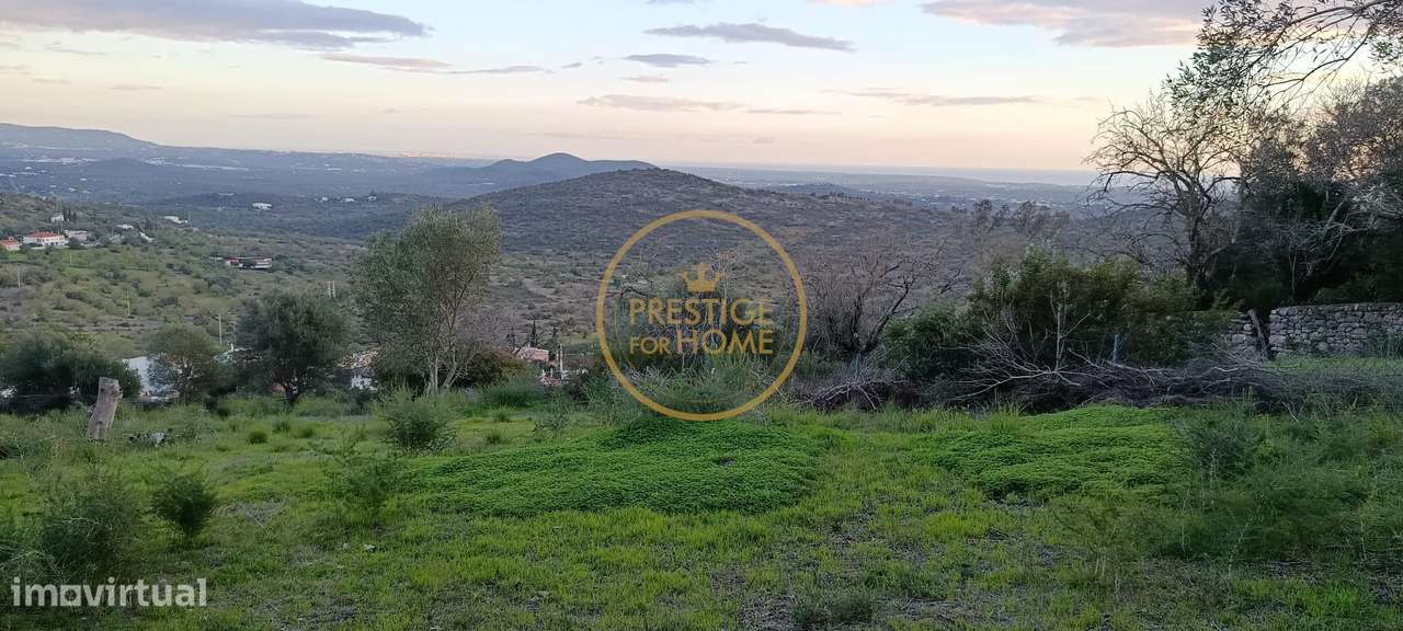 Terreno com ruina e ampla vista aberta da Picota até ao mar - Grande imagem: 5/14