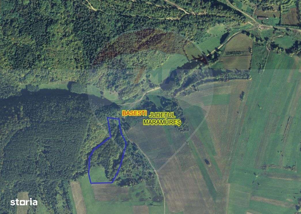 Pădure de vanzare cu zona de cabană Odesti-1