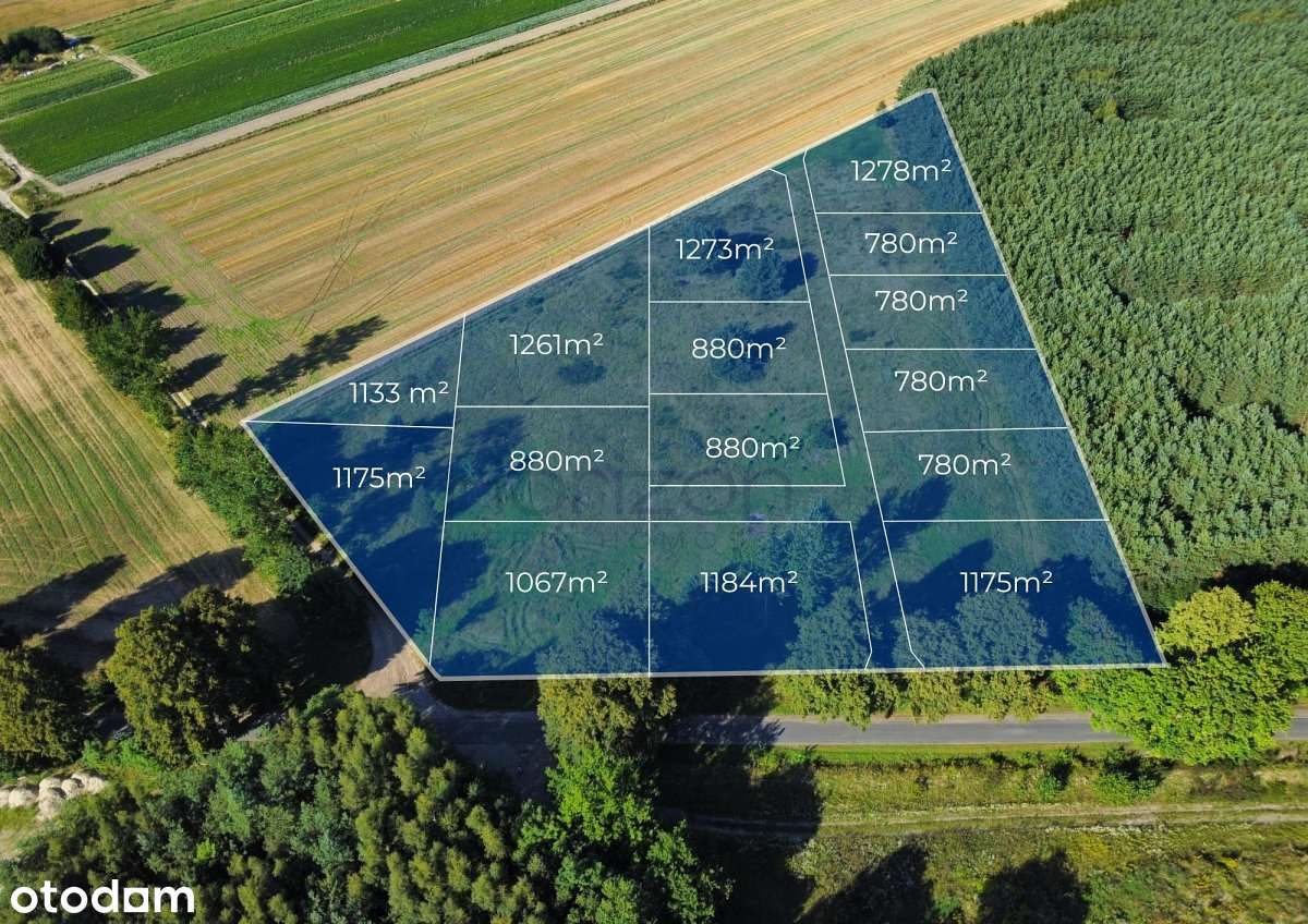 Działki budowlana pod lasem | WZ bezterminowe | Kołobrzeg 17km!-2