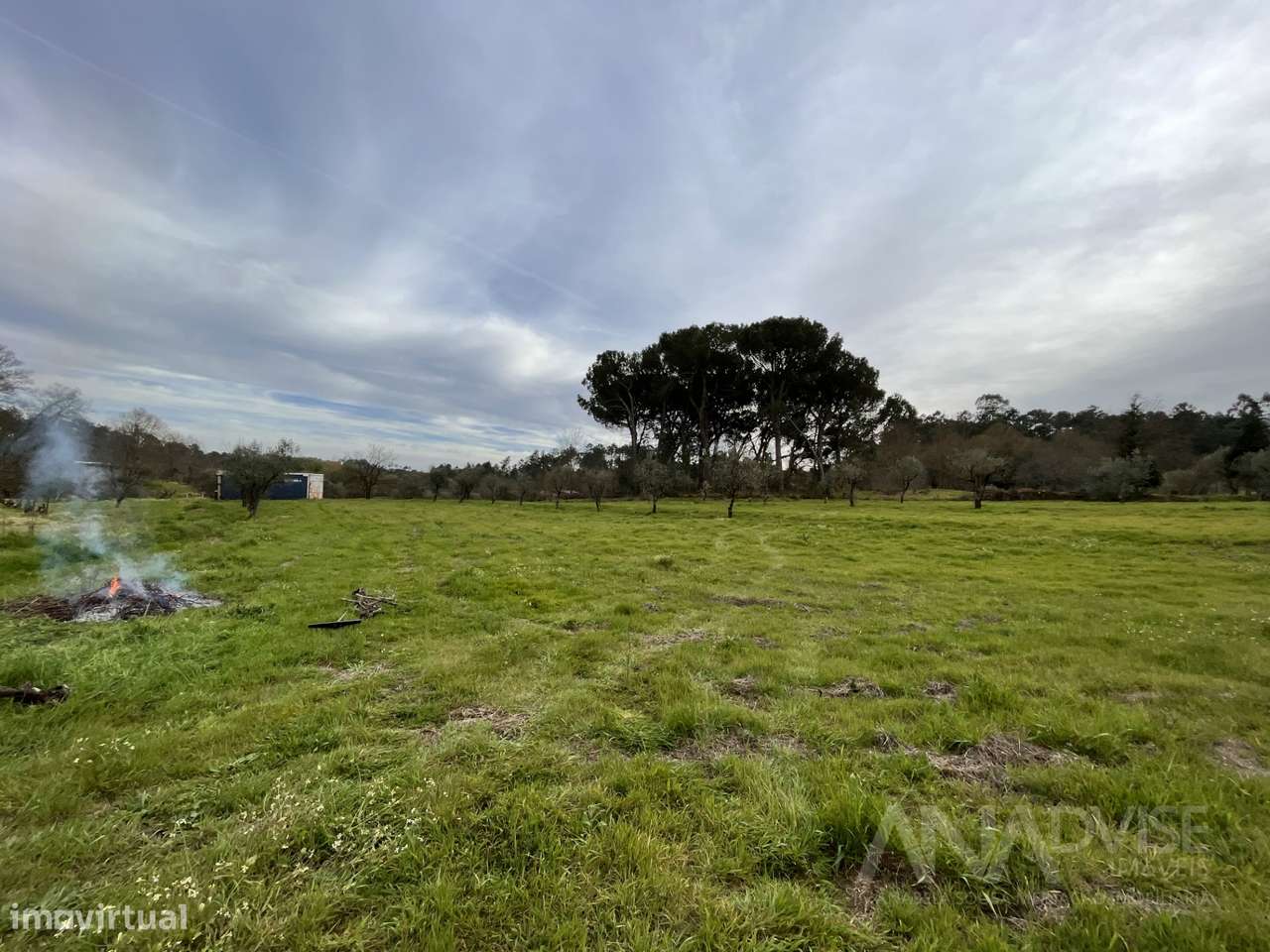 Terreno Rústico  Venda em Repeses e São Salvador,Viseu - Grande imagem: 2/9