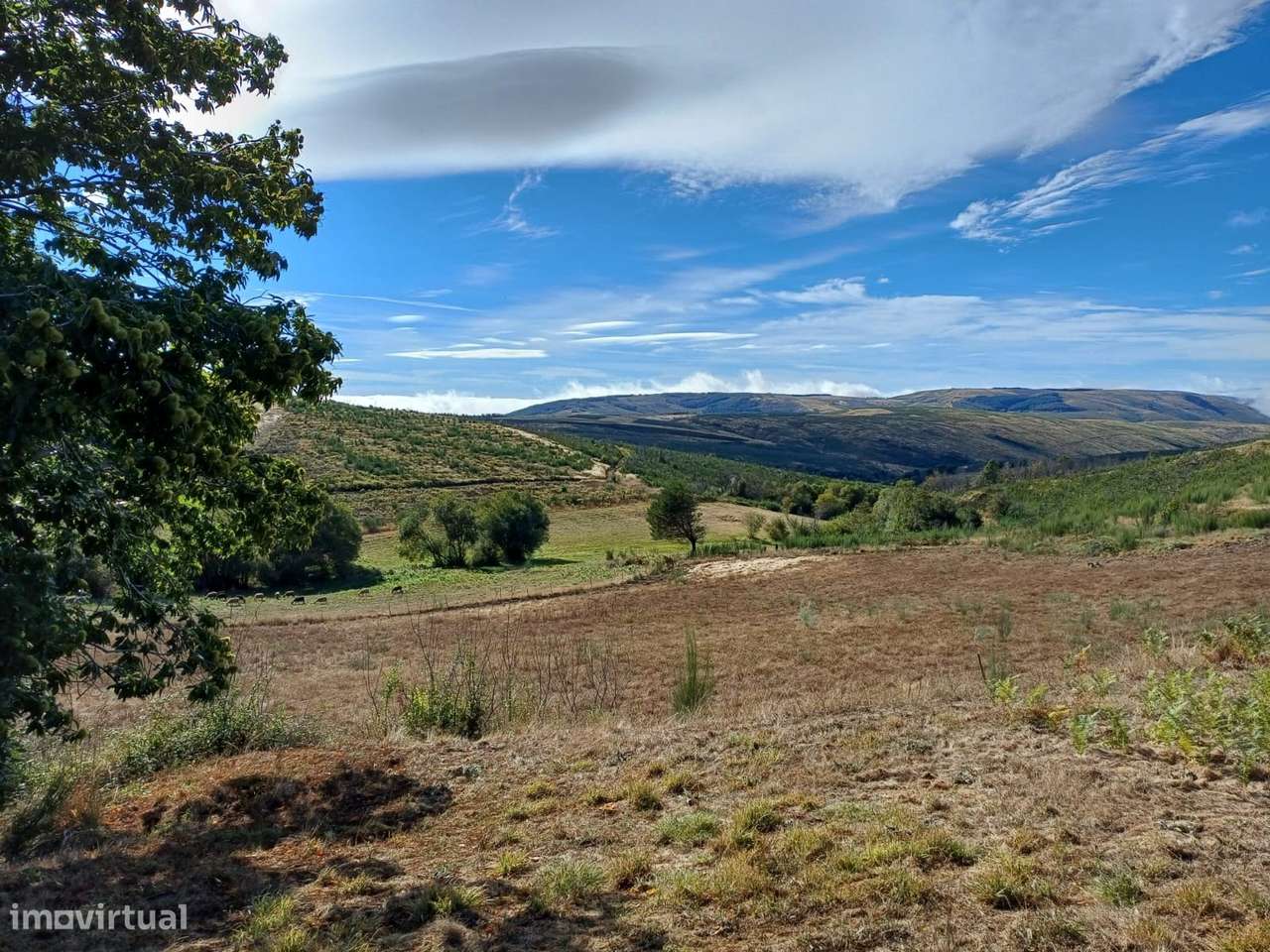 Duas habitações em 18 hectares-19