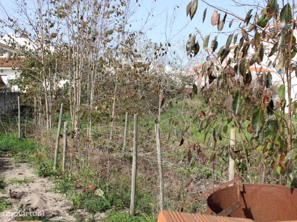 Terreno Urbano para construção em Alagoachos - Grande imagem: 3/3