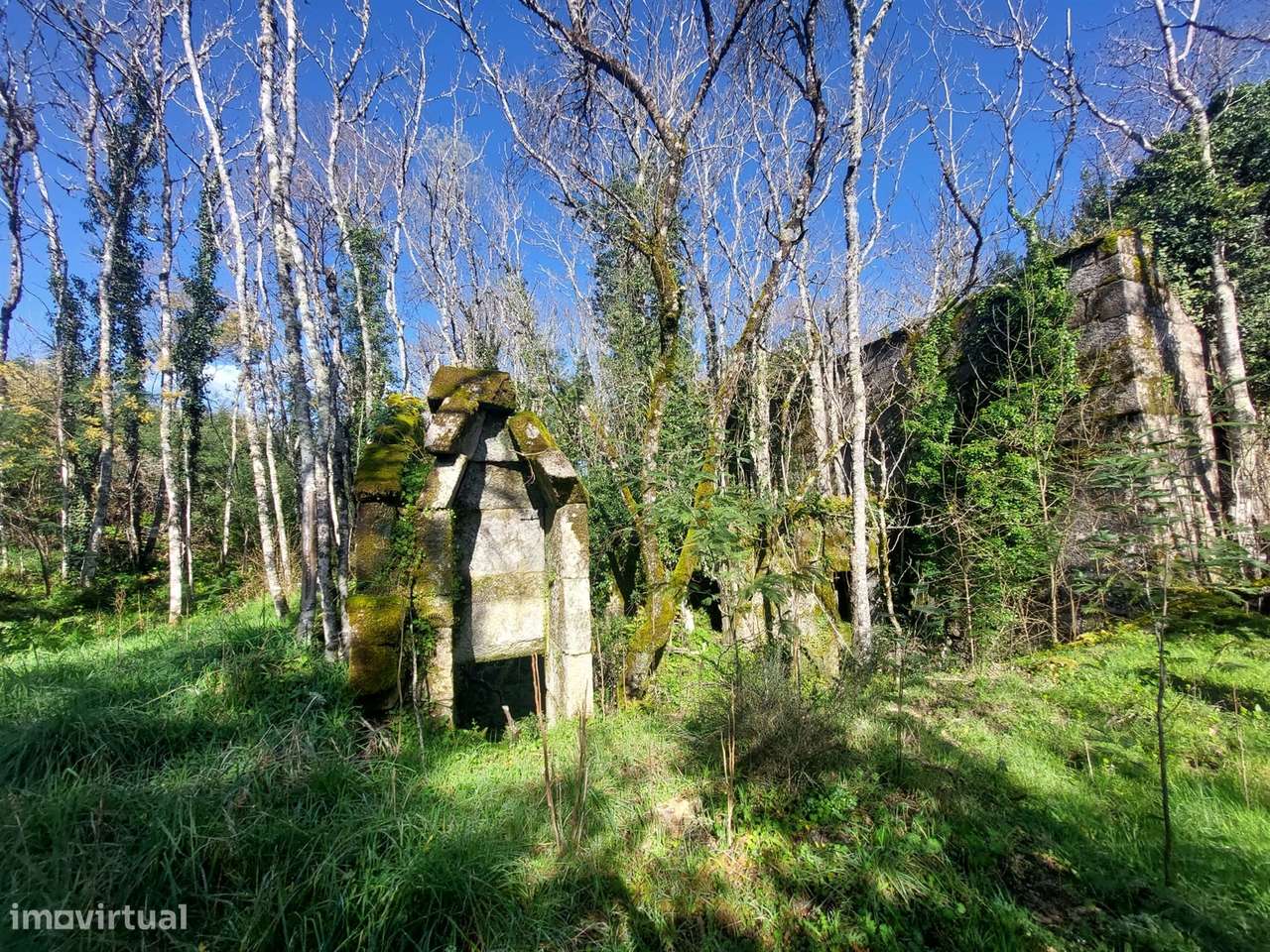 Quinta  Venda em Rio Torto e Lagarinhos,Gouveia - Grande imagem: 4/23