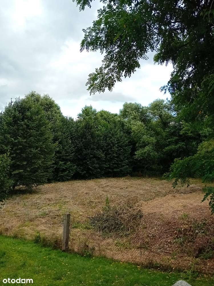 Działka rolno budowlana-6