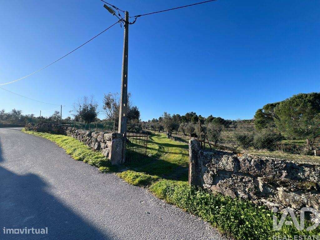 Quinta T3 em Arcozelo de 115 m2 - Grande imagem: 3/33