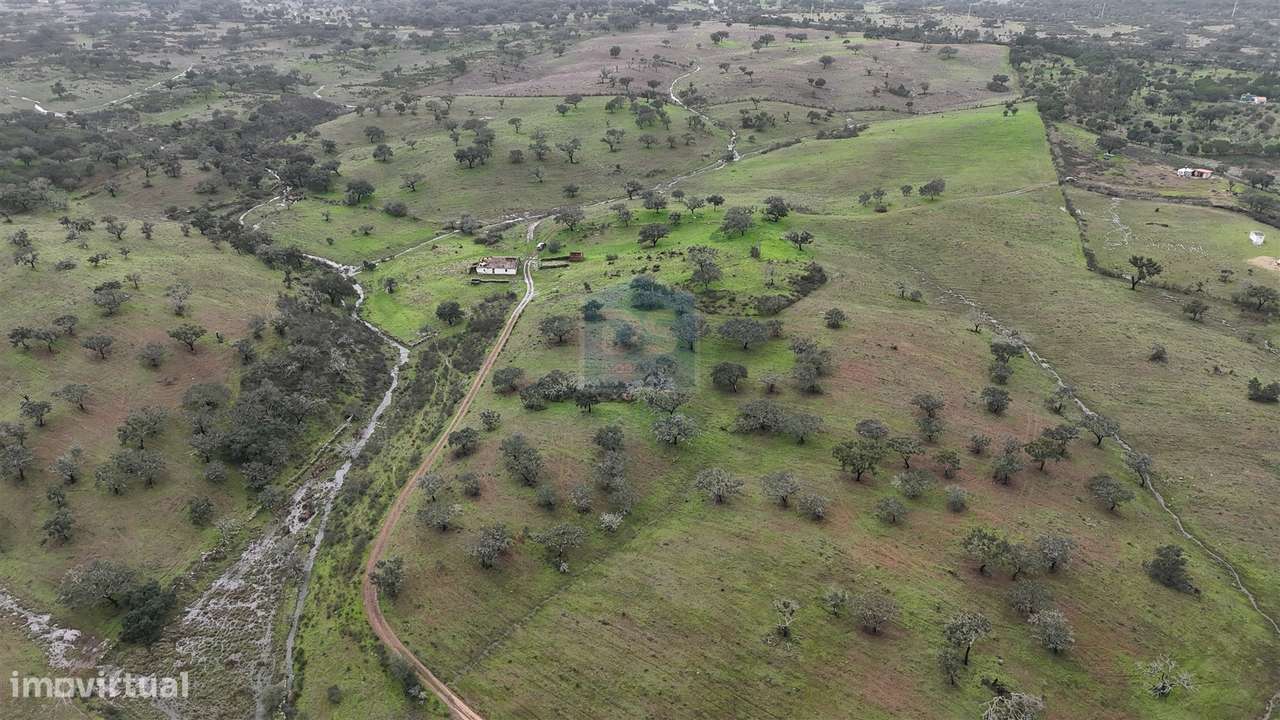 Herdade T4 Venda em Ourique,Ourique-5