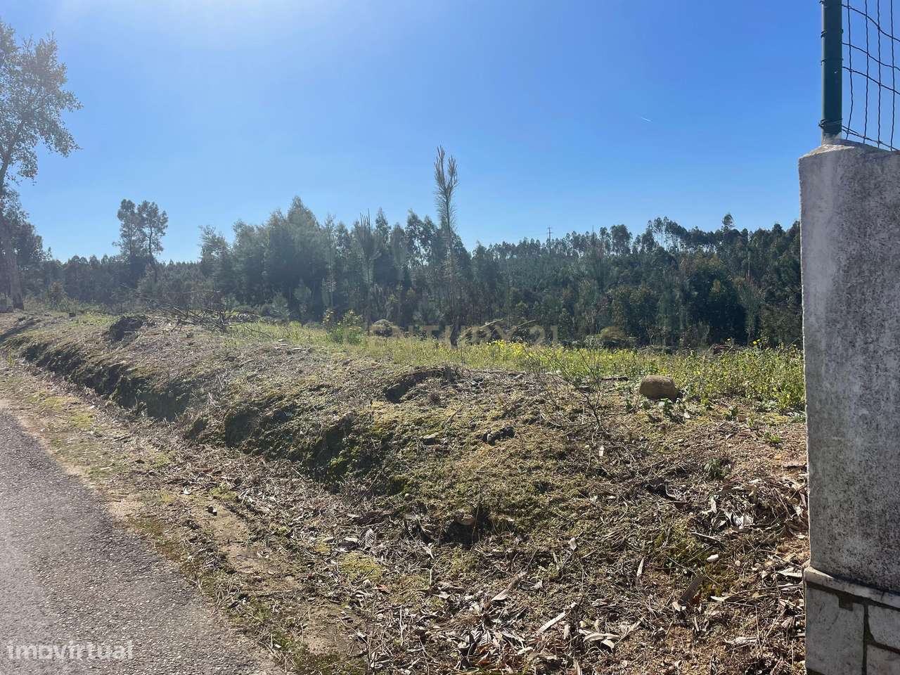 Terreno à venda em Aldeia do Mato, Abrantes - Grande imagem: 2/14