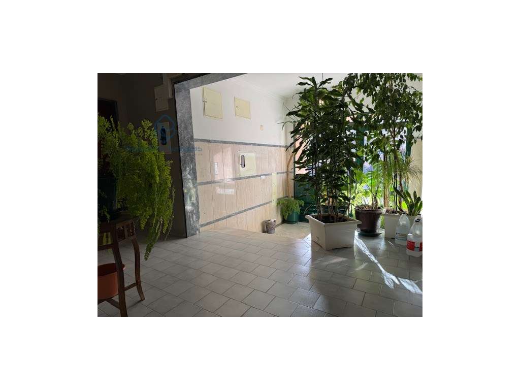 Apartamento T3 | Arrecadação | RC-11