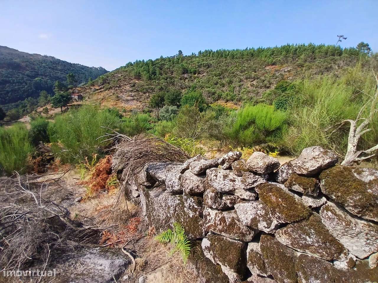 Terreno rústico com casa em pedra para recuperar – Soajo, Arcos de Val-38