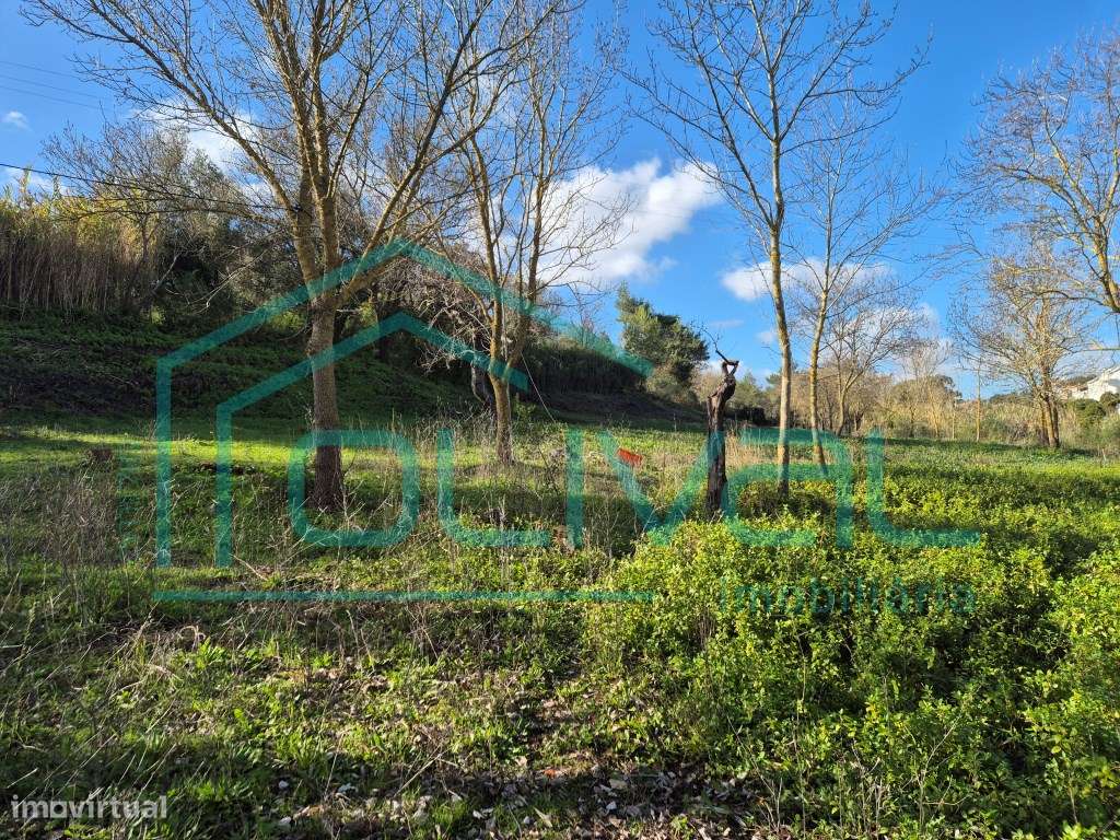 Terreno em Alhandra - Grande imagem: 5/21