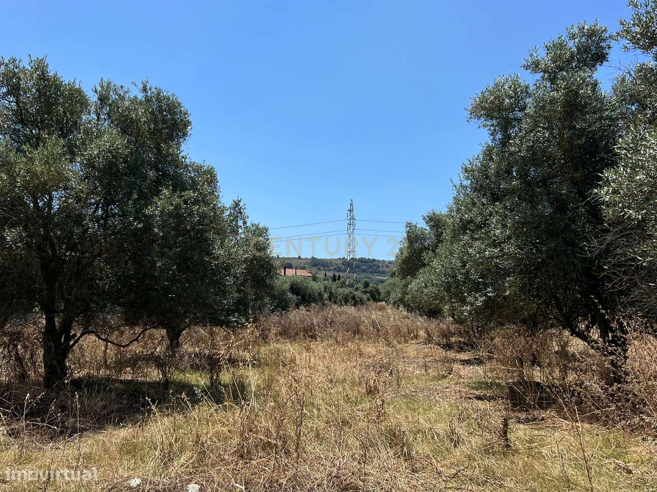 Terreno Rústico na Quinta do Anjo - Grande imagem: 4/15