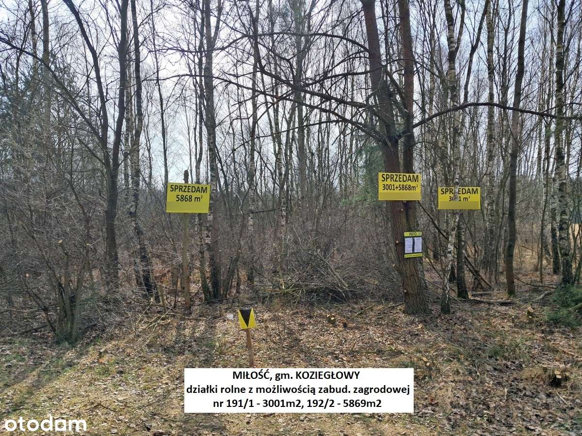 Miłość działka dla ukochanej :-) 3001m2 cena tylko 29.900zł-1