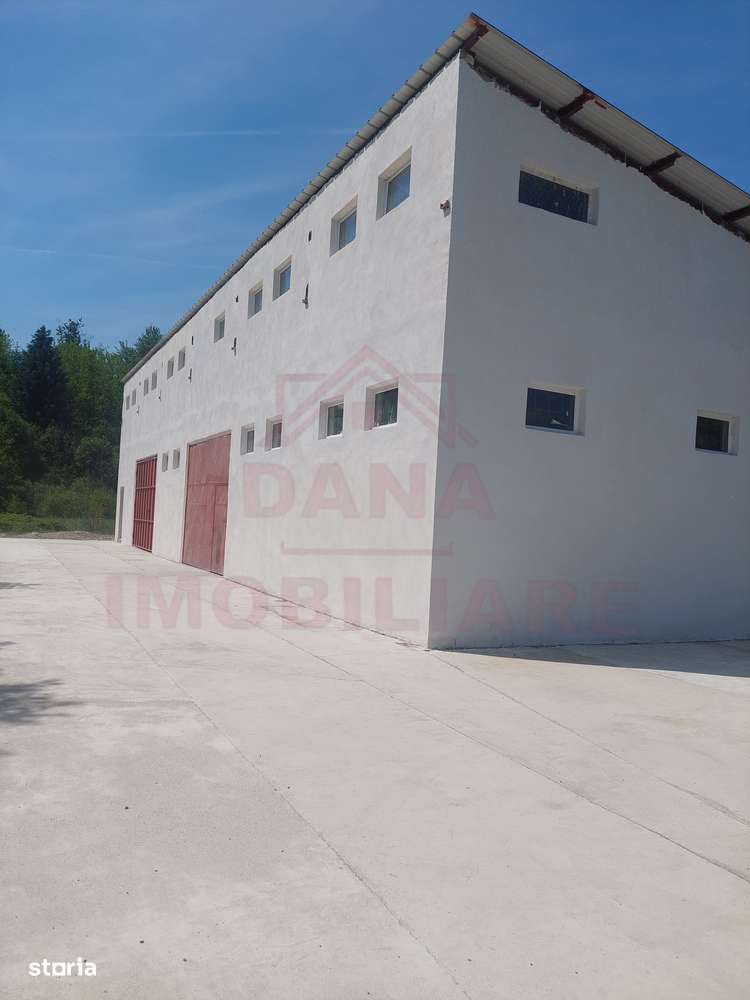 HALĂ DE VÂNZARE SAU ÎNCHIRIERE, ÎN  LOC.. BĂUȚAR, JUD. CARAȘ-SEVERIN - Imagine principală: 4/12