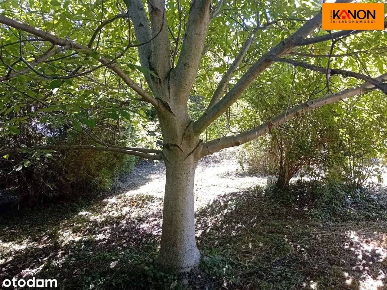 Działka, 3 235 m², Międzyrzecze Górne-10