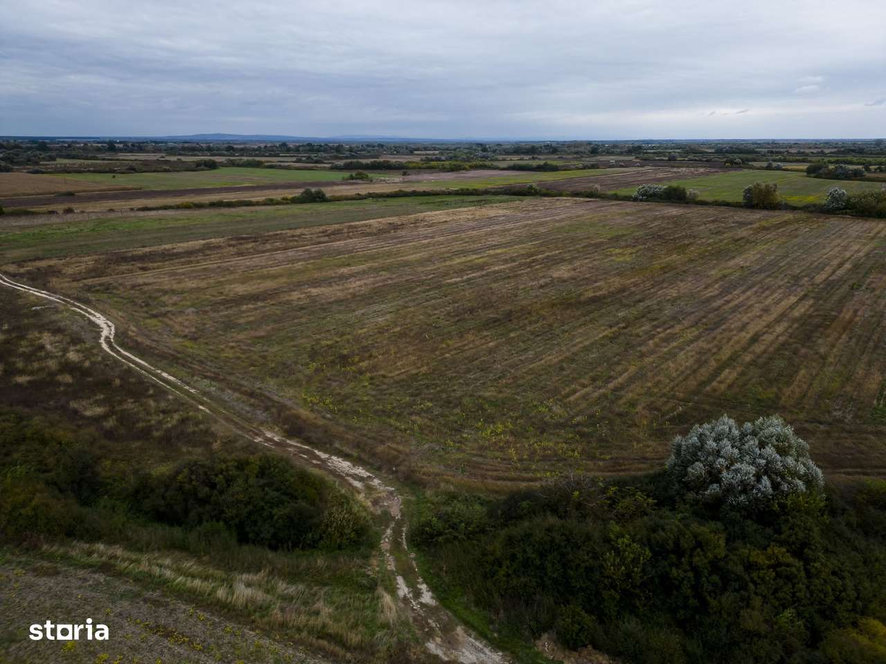 Teren agricol de 34.500mp în Albina, Județul Timiș - Imagine principală: 2/6