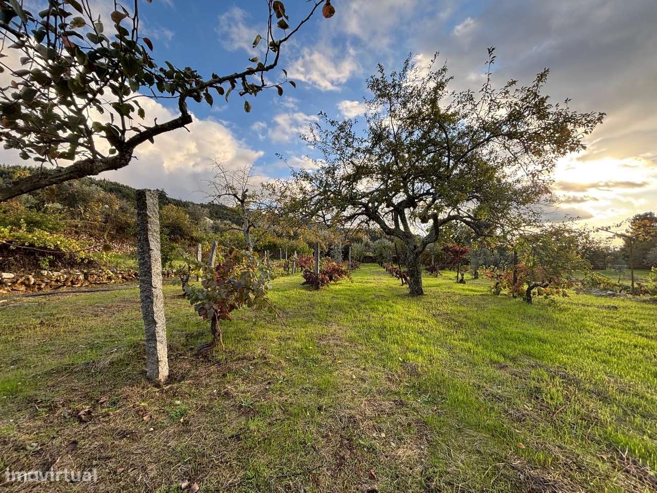 Quinta T3 Venda em Santa Marinha e São Martinho,Seia-18