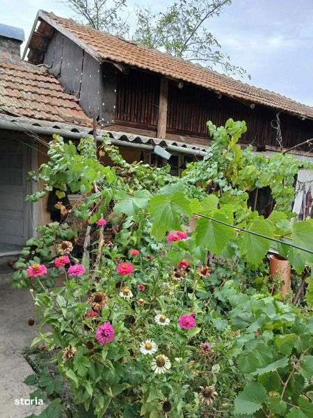 casa batraneasca - Imagine principală: 4/8
