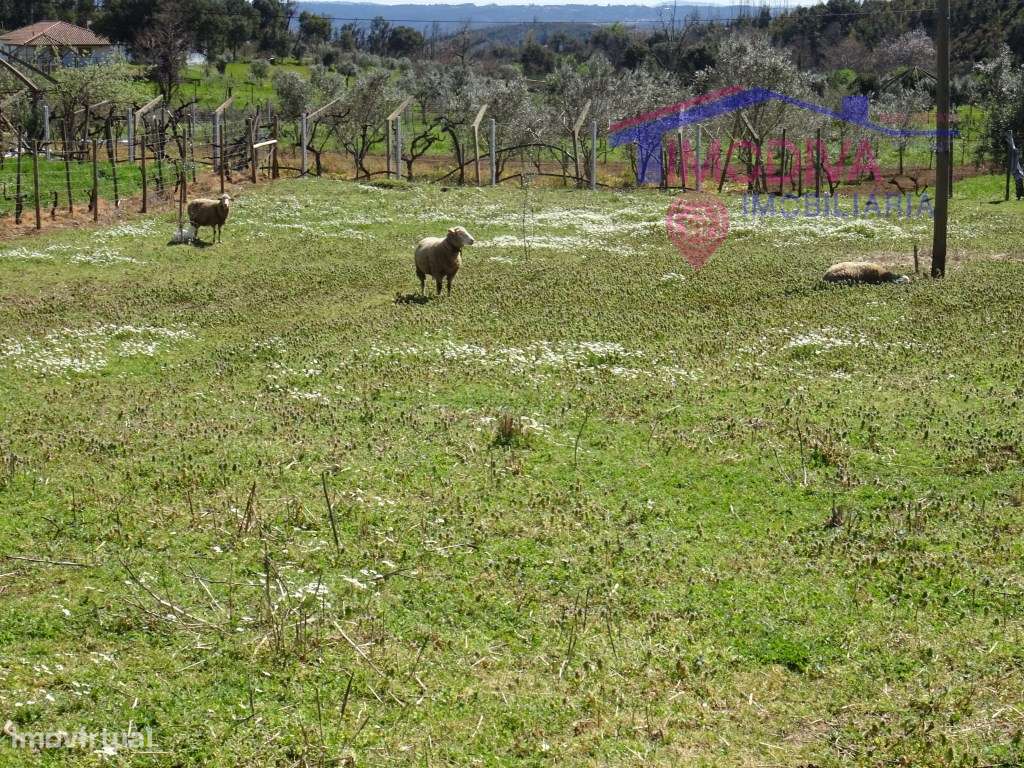 Terreno com projeto de construção aprovado, em Pedrógão Grande - Grande imagem: 5/25