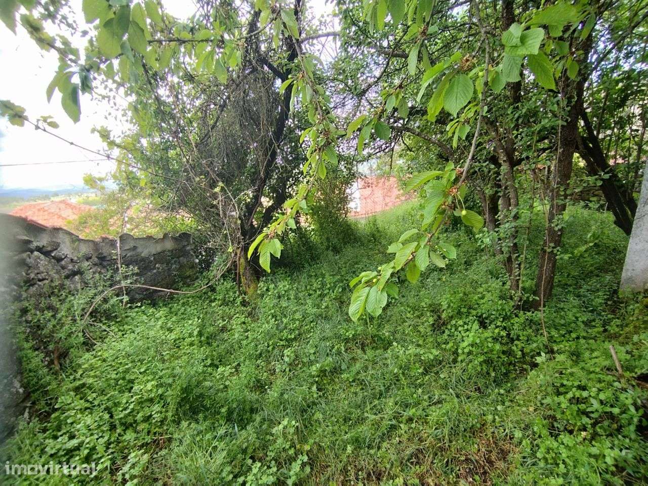 Casa para reconstrução em Penela da Beira-13