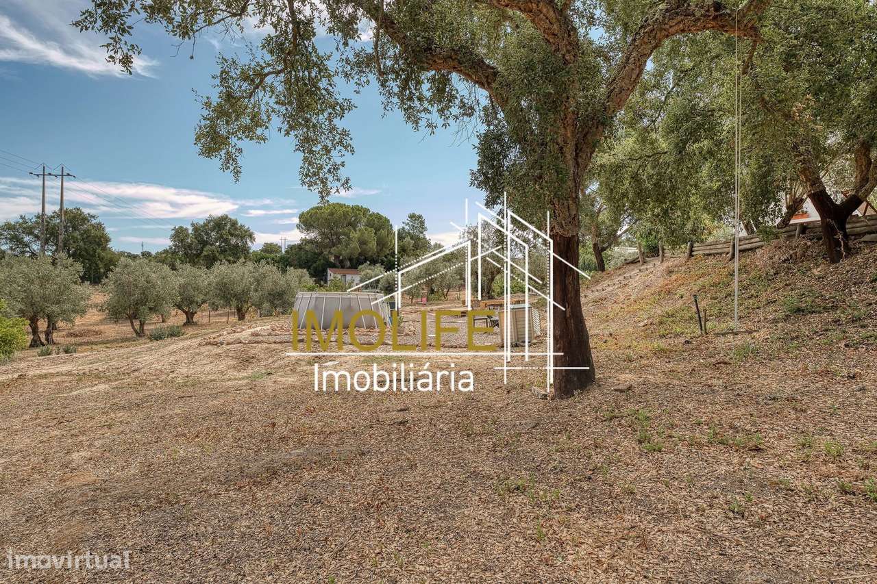 Quinta T4 em Mora-12