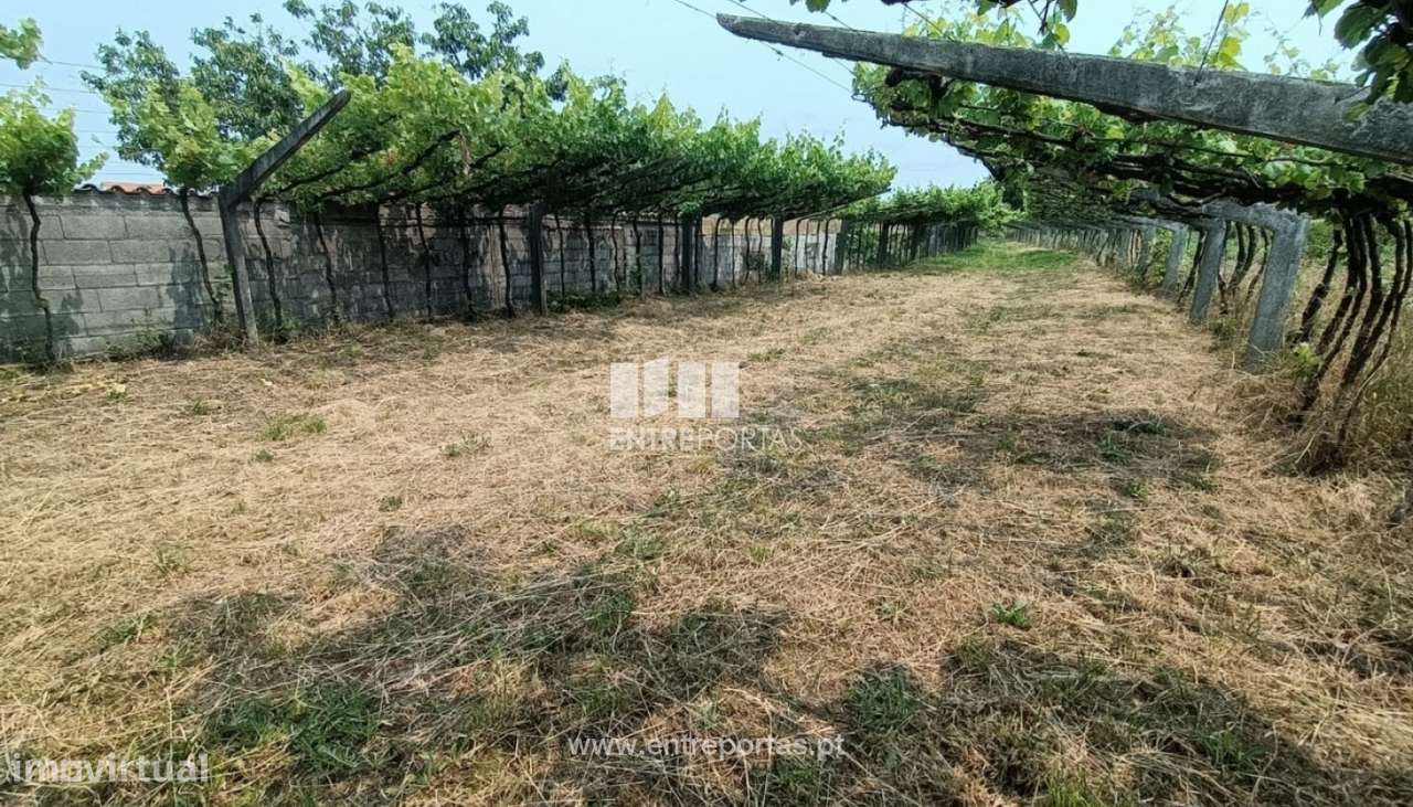 Venda de terreno para construção, Vitorino das Donas, Ponte de Lima - Grande imagem: 4/30