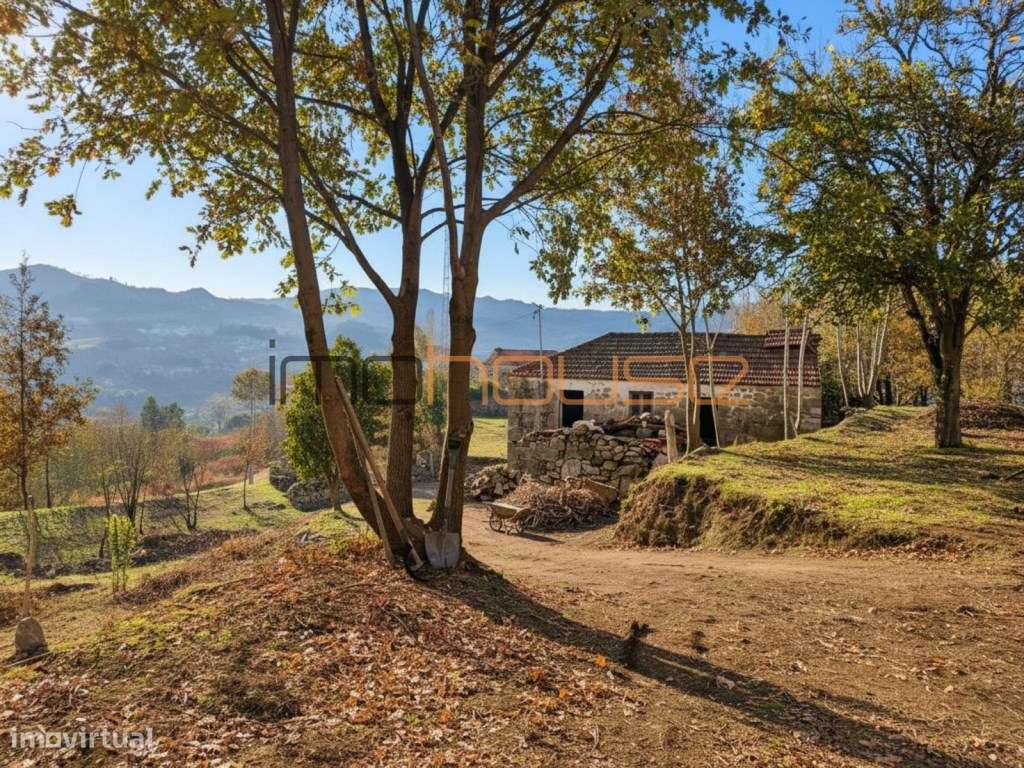 Quinta com Ribeiro e casa para restaurar - Terreno de cultivo - Grande imagem: 2/17