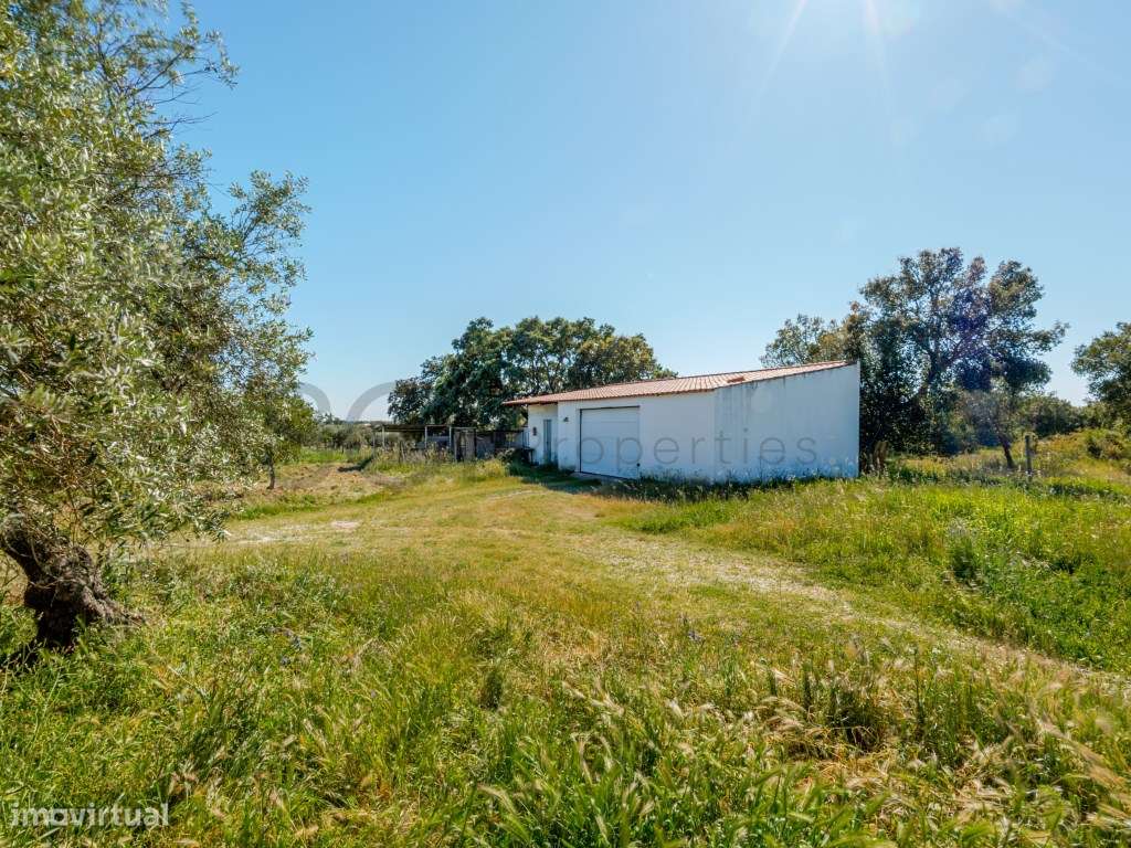 Quinta com seis quartos em Vila Nova de São Bento , Serpa-31