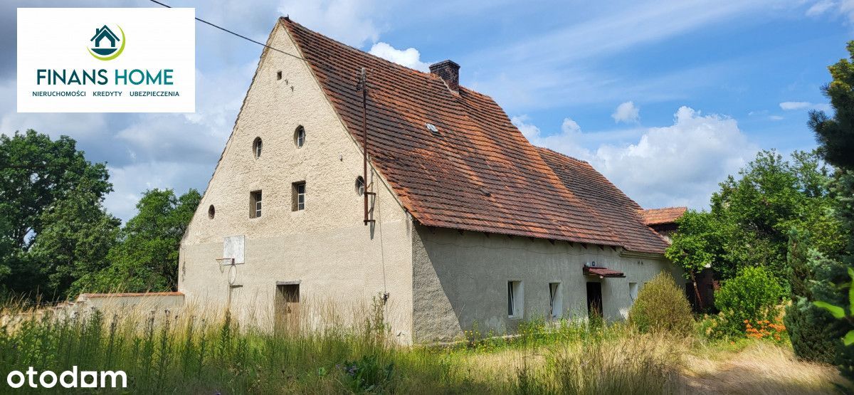 Dom do remontu w Tłustorębach działka 16 arów