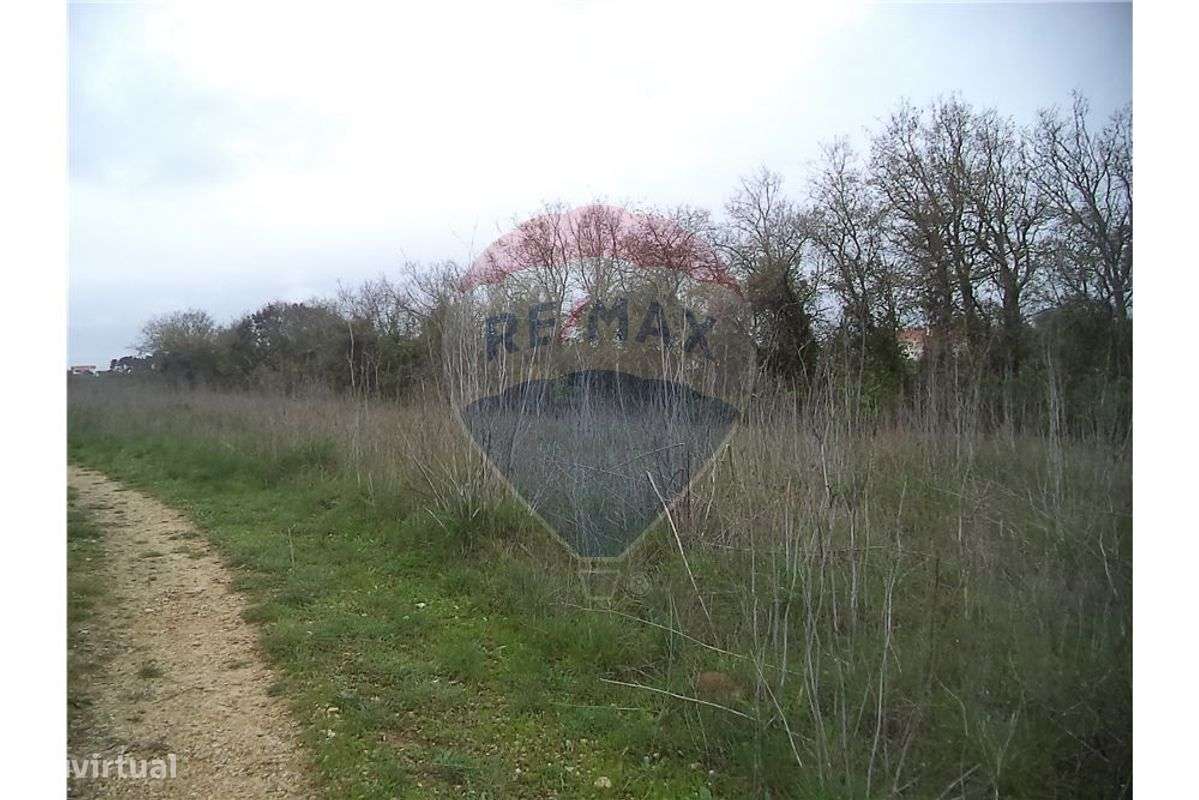 TERRENOS NA TAPADA - TOMAR - Grande imagem: 4/6