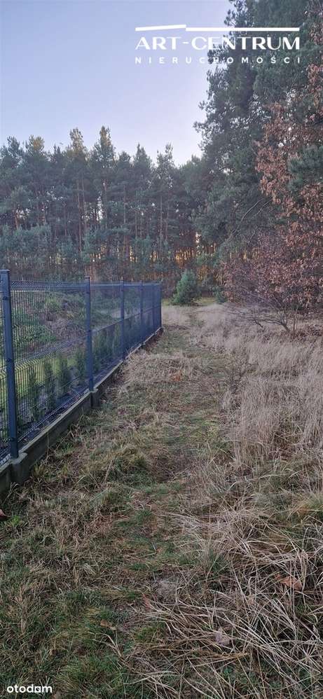 Działka w spokojnym miejscu ze ścianą lasu - Pełny obrazek: 5/6