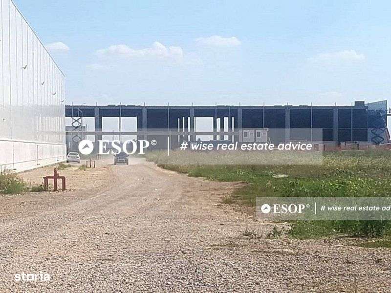 WDP Industrial Park Paulesti, hale de inchiriat, 2.500 - 14.150 mp - Imagine principală: 2/3