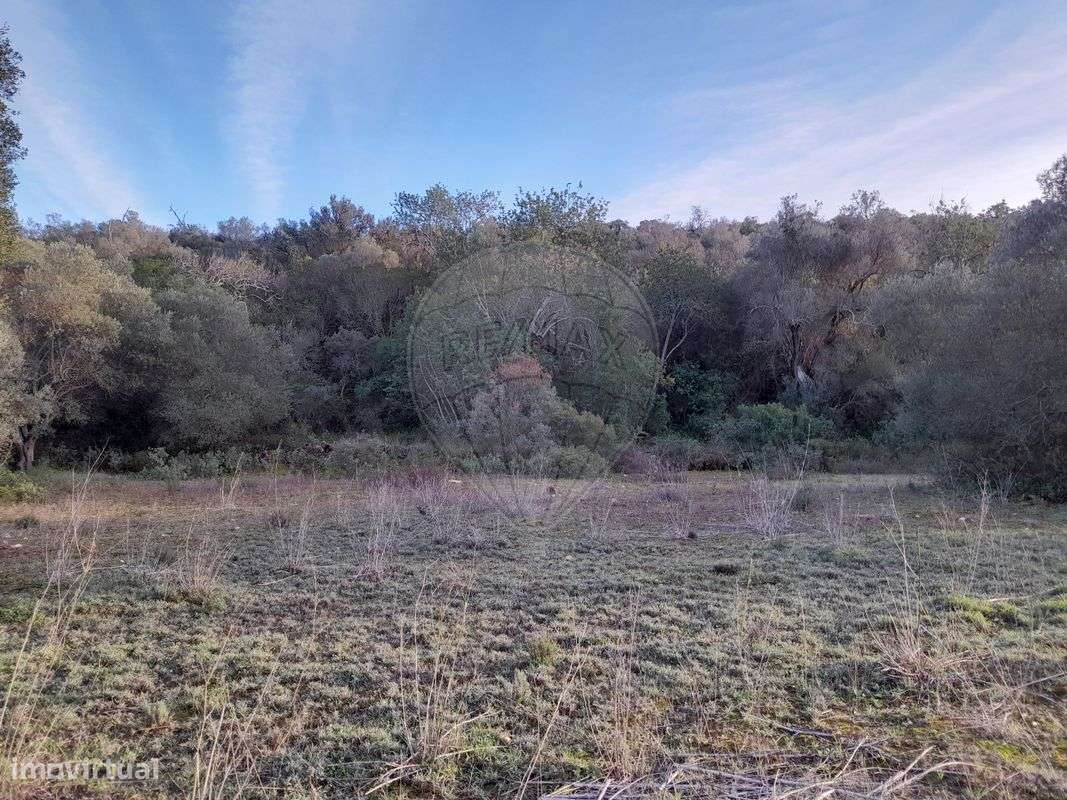 Terreno  para venda - Grande imagem: 2/5