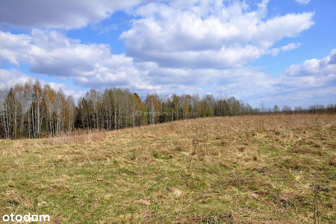 Działka Łomy, Gmina Jonkowo z warunkami zabudowy - Pełny obrazek: 4/10